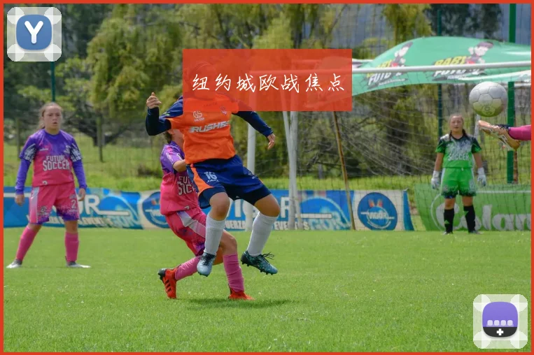 纽约城欧战焦点