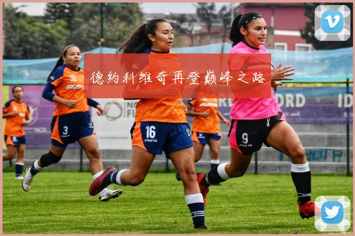 德约科维奇再登巅峰之路