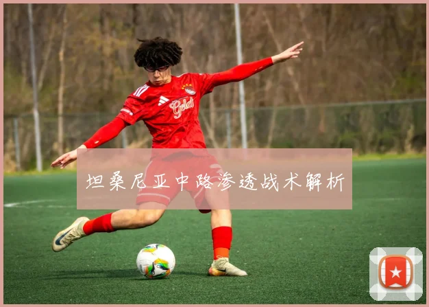 坦桑尼亚中路渗透战术解析