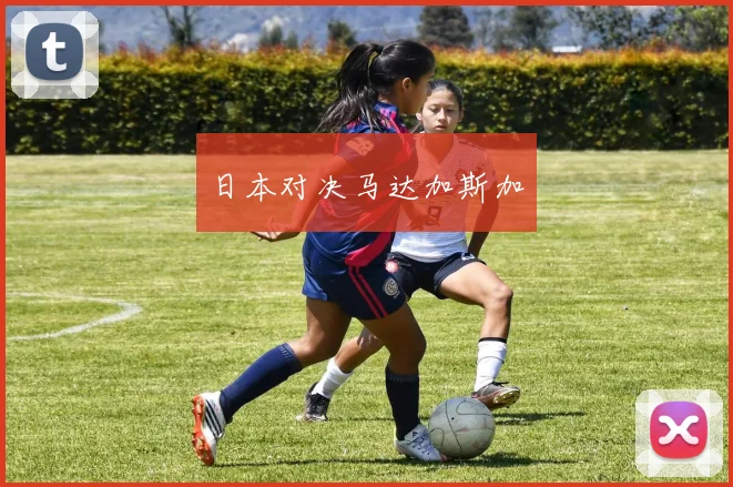 日本对决马达加斯加