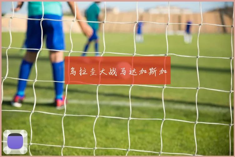 乌拉圭大战马达加斯加